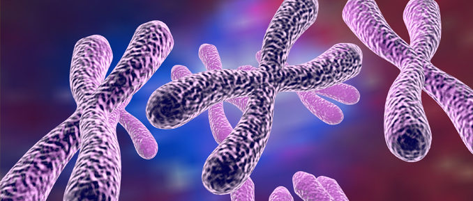 fragile-x-epigenetics-2-678x289