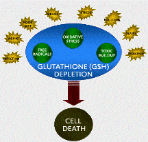 Glutathione-Against-the-Coronavirus