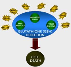 glutathione-gsh-depletion