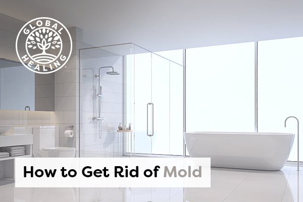 how-to-get-rid-of-mold