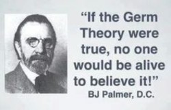 if-the-germ-theory-were-true