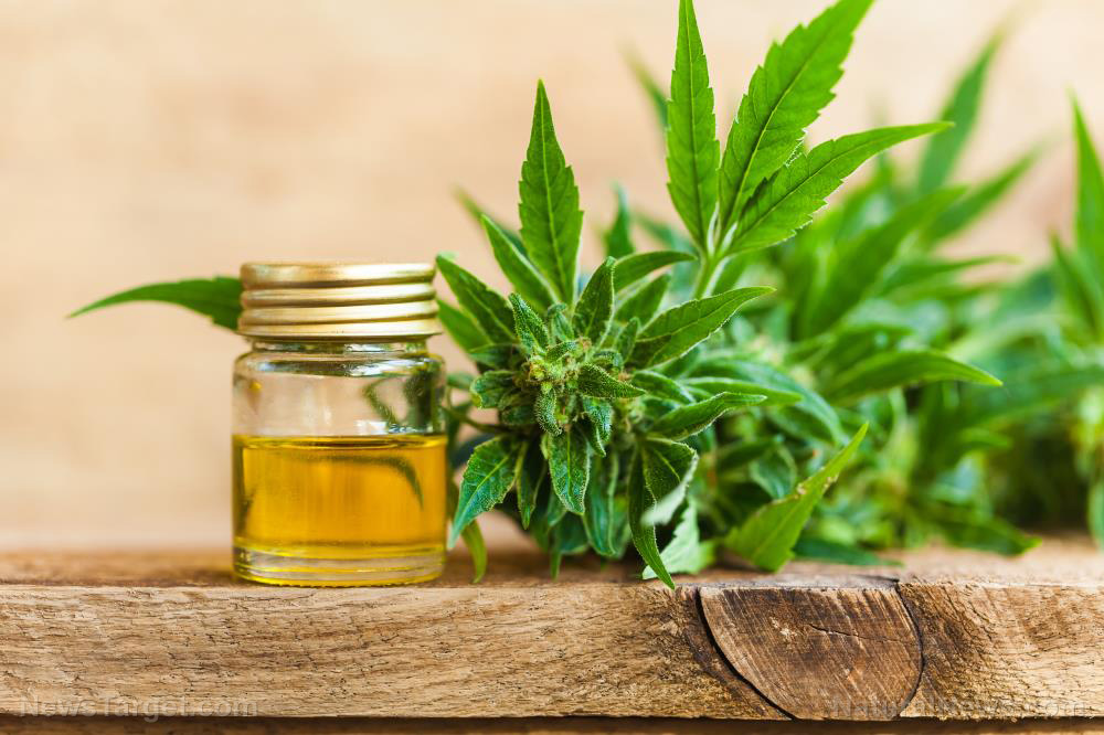 Cbd-Oil-Hemp-Cannabidiol-Cannabis-Weed-Marijuana