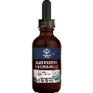 elderberry-echinacea