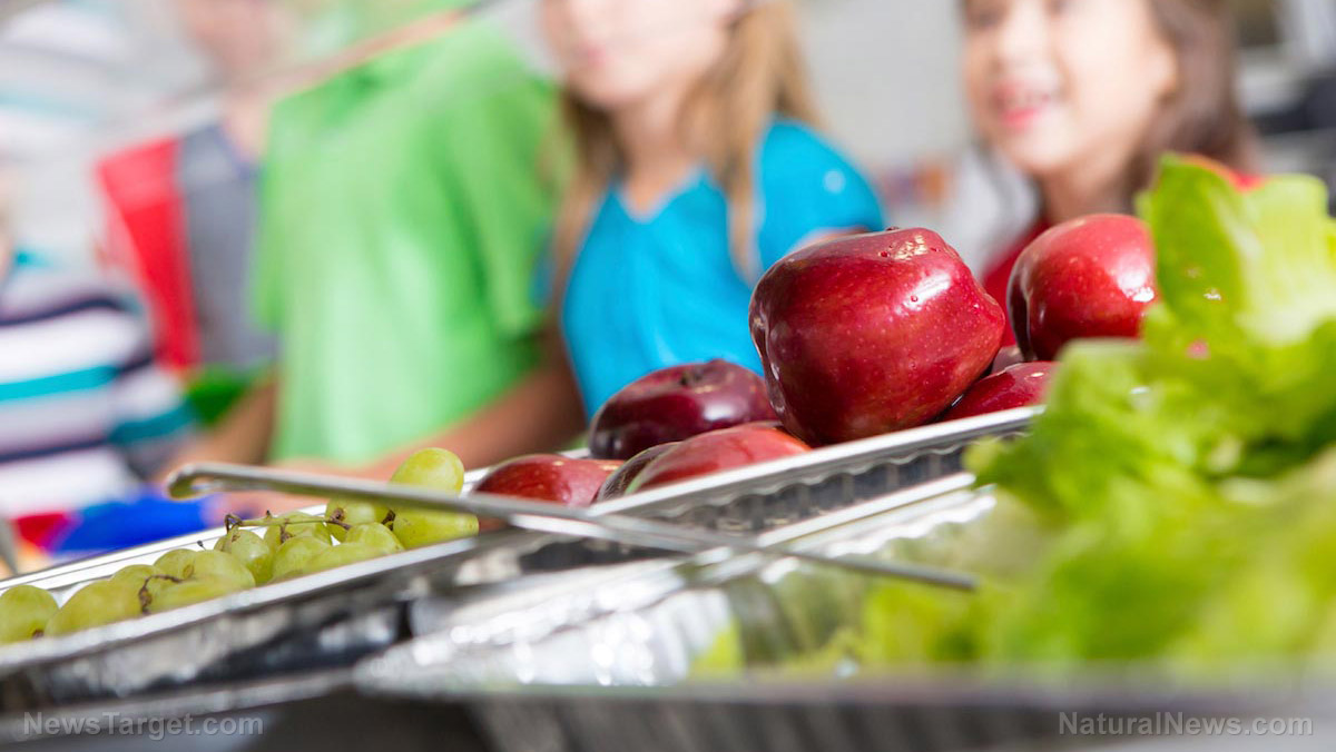 Fresh-Fruit-Apples-Grapes-School-Lunch