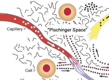 Pischinger Space