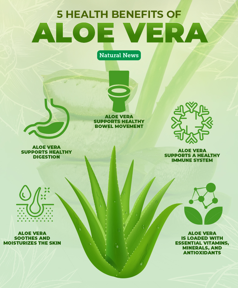 5-Health-Benefits-of-Aloe-Vera