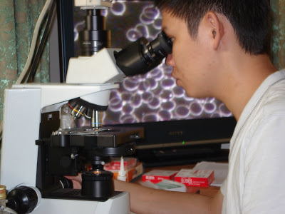 Live blood Analysis Training