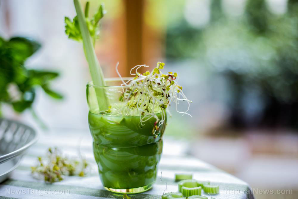 Background-Beverage-Blended-Bottle-Calories-Celery-Closeup
