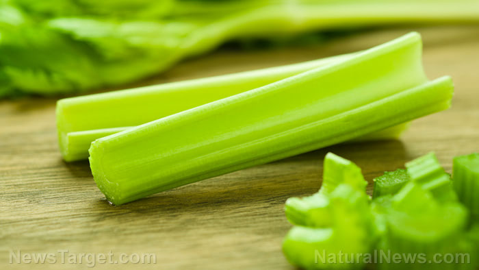 Celery-Green-Closeup-Food-Vegetable