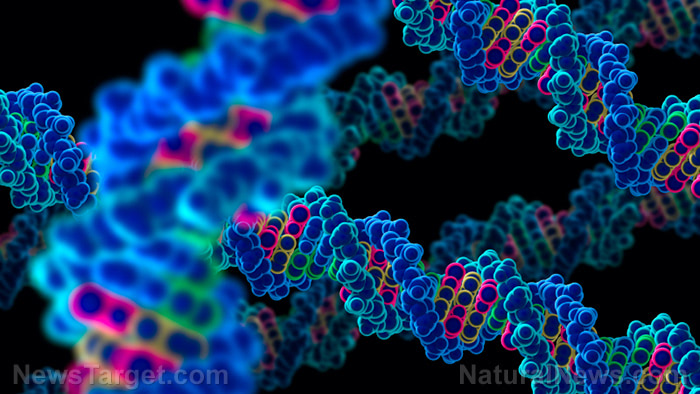 DNA-Strand-Computer-Model-Closeup