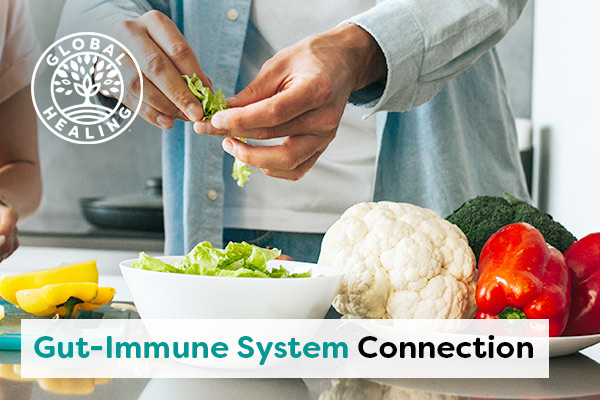 gut-immune-system-connection