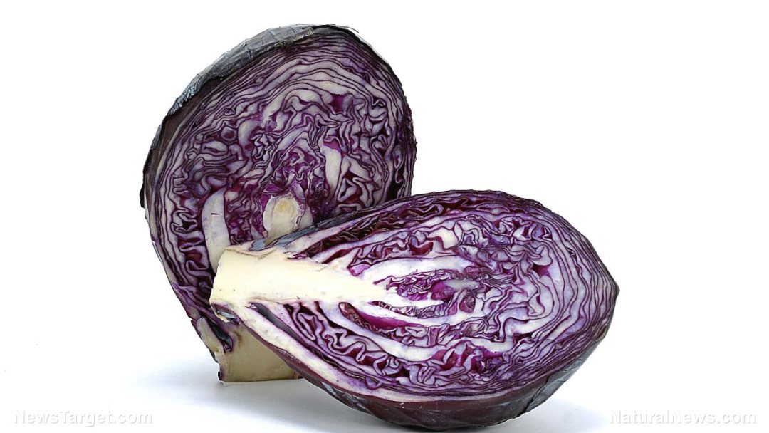 Red-Cabbage-Vegetable-Food