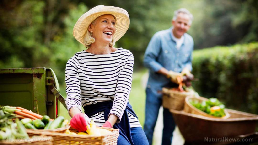 Senior-Elderly-Harvest-Garden-Produce