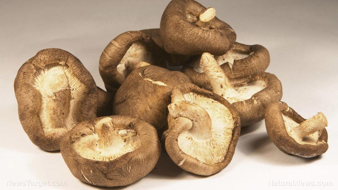 Shitake-Mushrooms-Fungus-Food