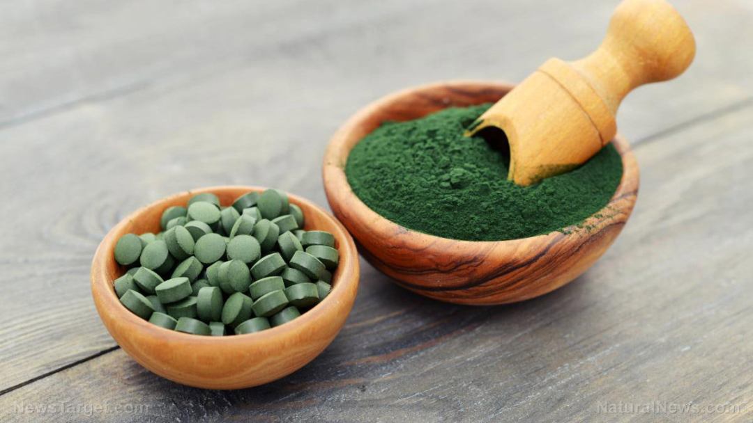 Spirulina-Clorella-Powder-2