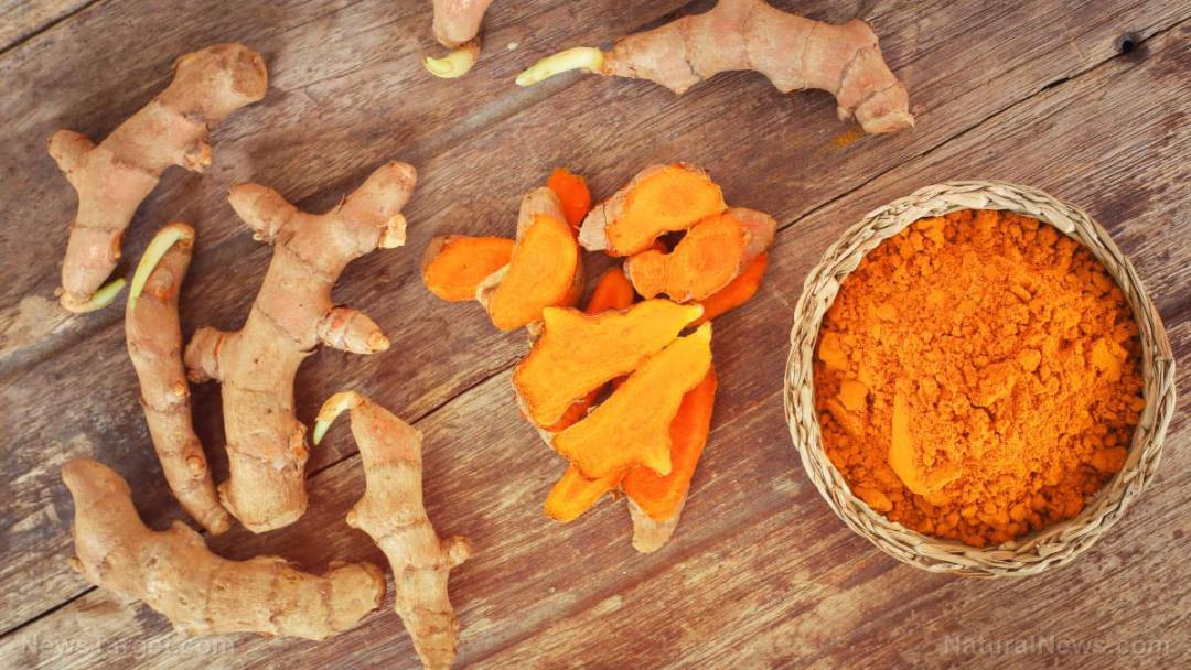 Turmeric-Powder-Plant