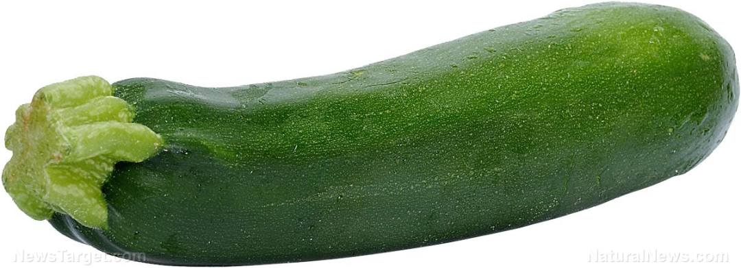 Zucchini-Italian-Squash-Vegetable-Green-1