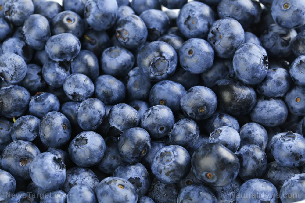 Antioxidant-Background-Beautiful-Berry-Blue-Blueberry-Close
