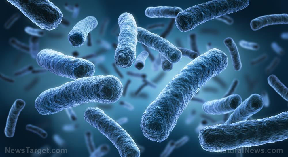 Bacteria-Virus-Concept-Microscope