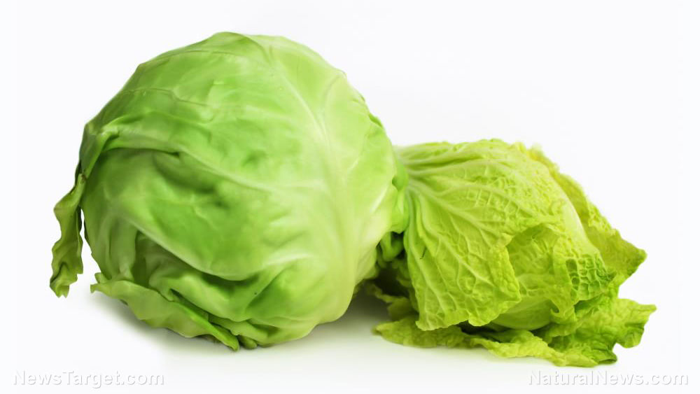 Cabbage-Agriculture-Background-Chinese-Cook-Diet-Farming