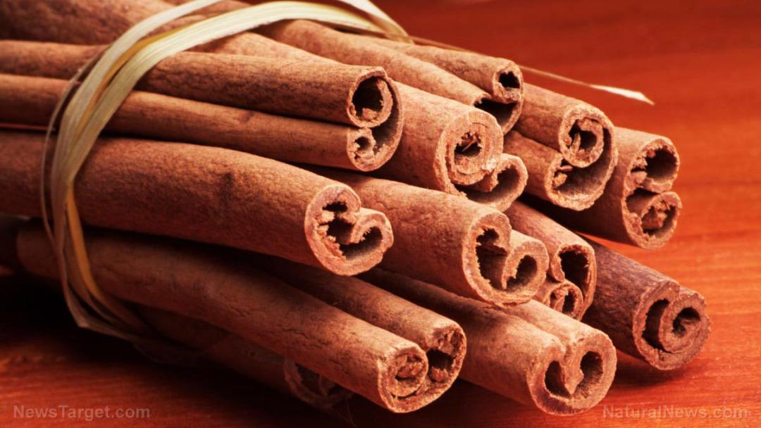 Cinnamon-Sticks-Tied-Twine-Closeup