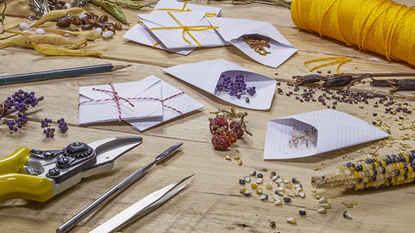 heirloom-seeds-gardening-homesteading-prepping