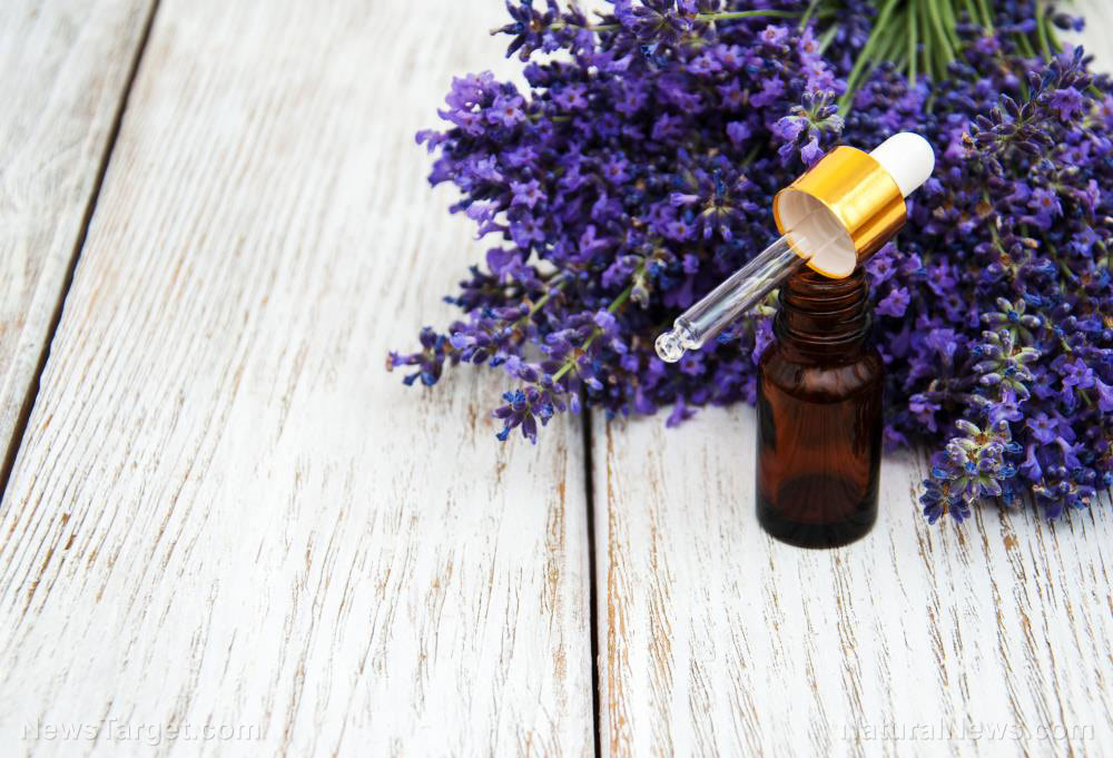 Lavender-Oil-Spa-Alternative-Aroma-Aromatherapy-Aromatic