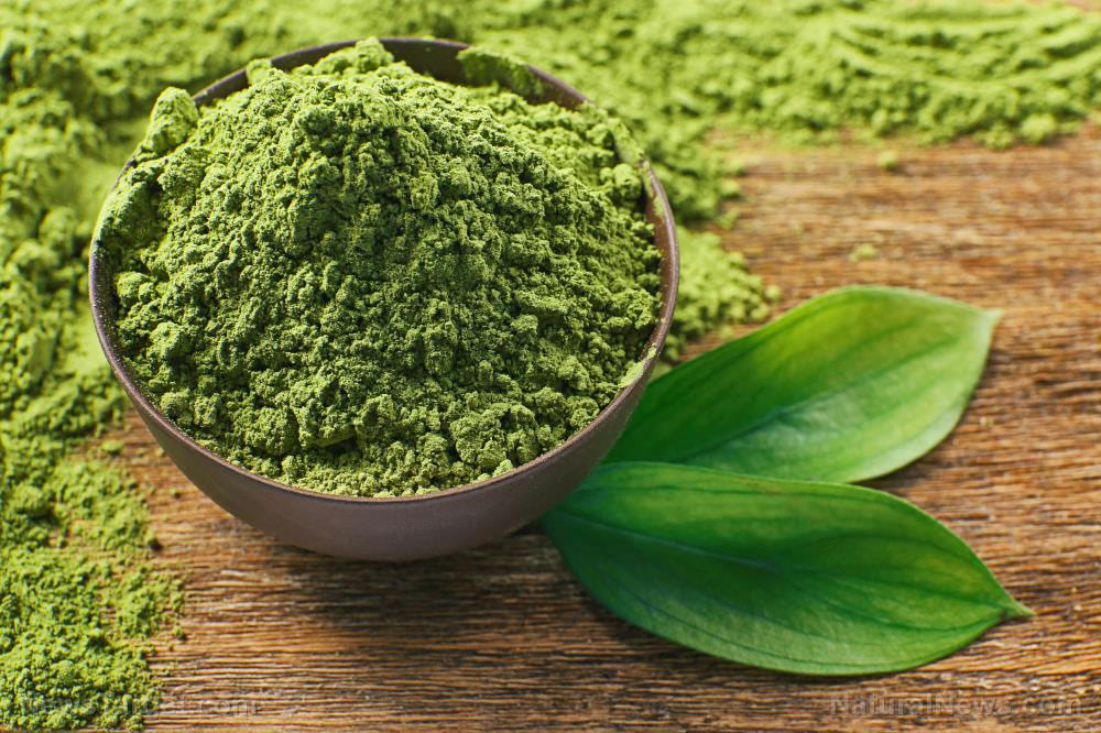 Matcha-Tea-Powder-Green-Chlorella-Wooden-Drink
