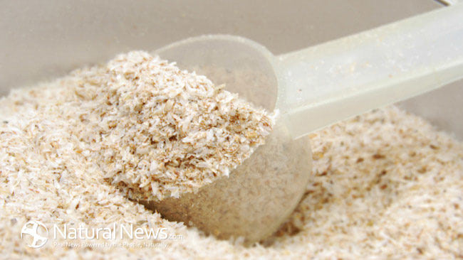 Protein-Mix-Shake-Scoop-Closeup-650X433