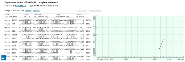 pShuttle-SN-sequence-plot