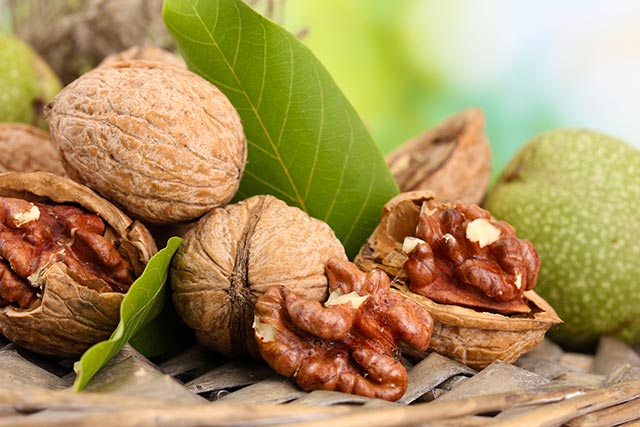 walnut-leaf-natural-medicine-remedy-leaves-1