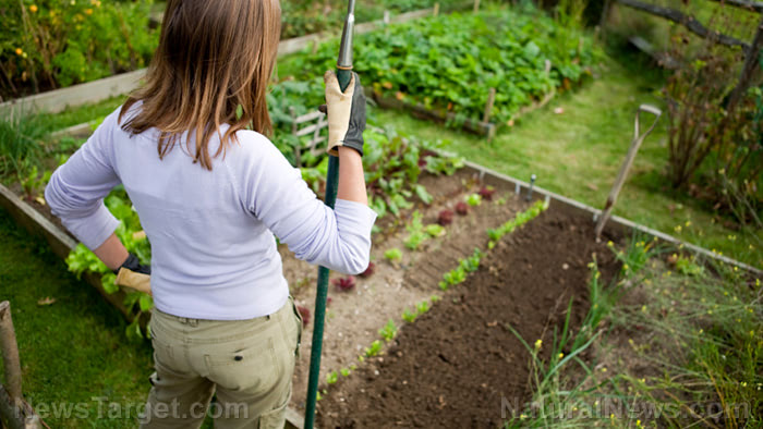Woman-Proud-Home-Garden-Vegetables-Soil