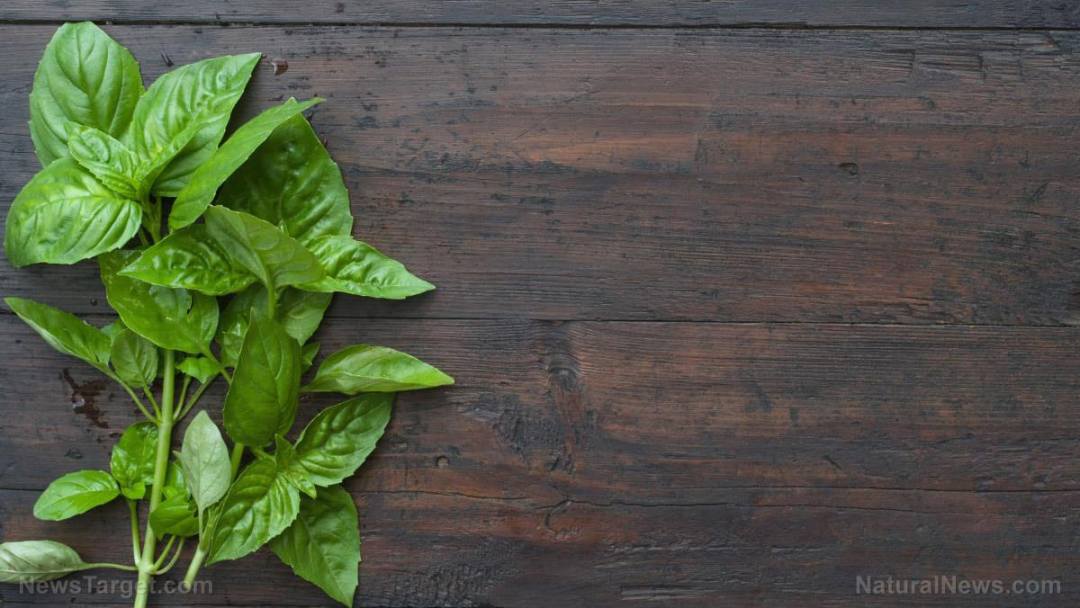 Wood-Basil-Background-Table-Natural-Kitchen