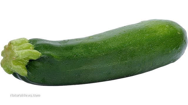 Zucchini-Italian-Squash-Vegetable-Green