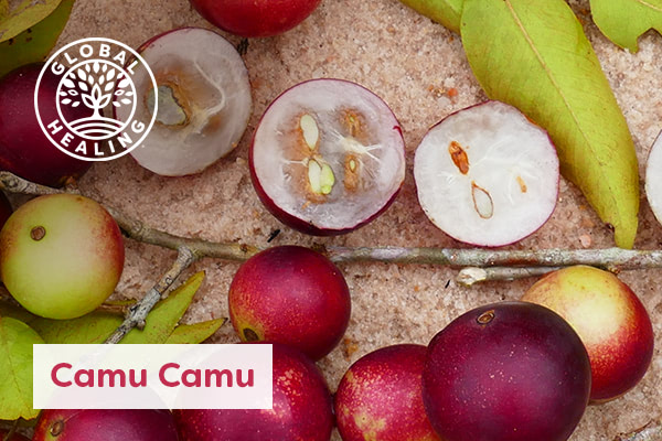 Camu Camu: The Next Great Superfood