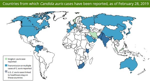 Countries from which Candida auris have been reported