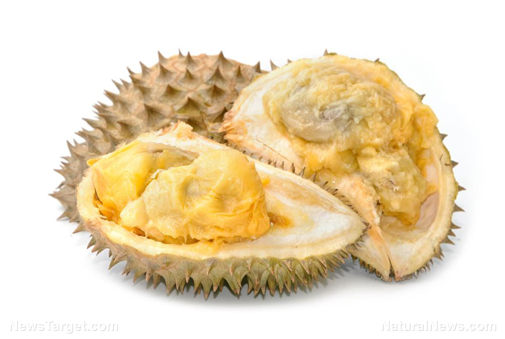 Better than it smells: 5 Health benefits you can get from the durian fruit