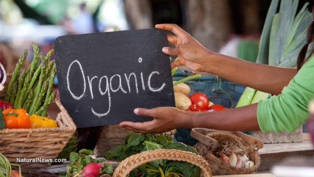 Record growth of organic food consumption in the U.S. and India