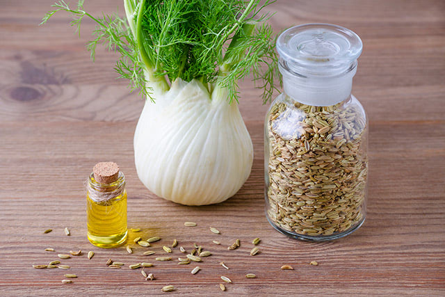 Fennel oil found to have antifungal activity against Candida albicans