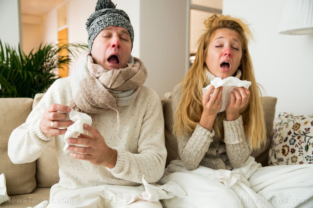 Natural flu remedies and preventatives you need to know