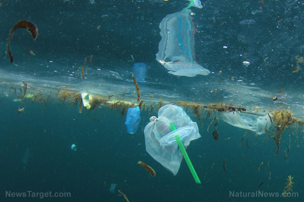 All our bodies are filled with plastic