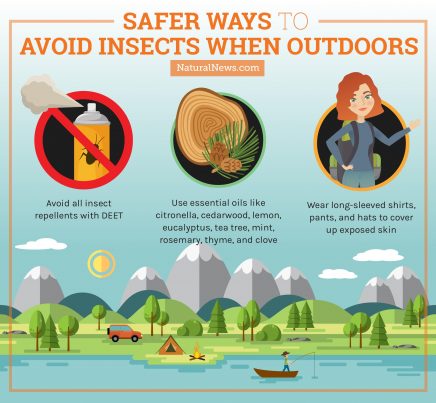 Safer Ways to avoid insects when outdoors