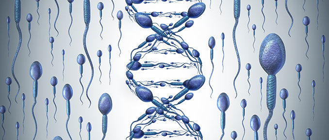 Boost male fertility with the right foods