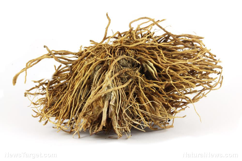 The “root” of your problems: How valerian root can help with anxiety and sleep