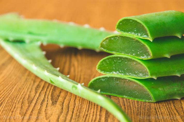 Components of aloe vera extracts show antiviral activity against influenza A