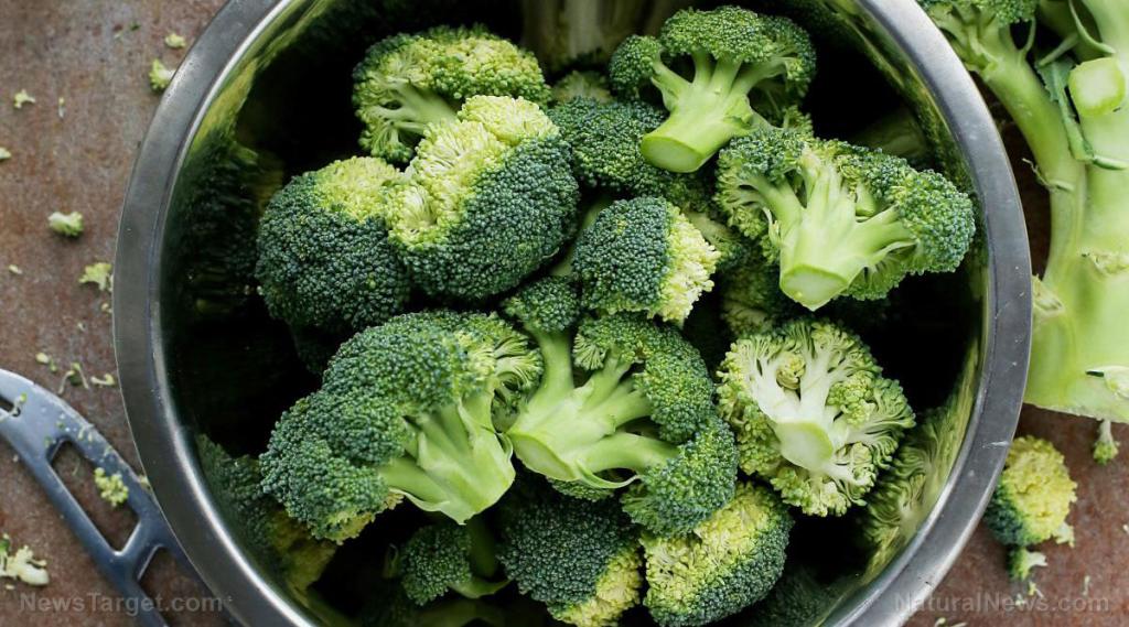 Analysis of broccoli florets reveals what phytochemicals are present in young and mature broccoli