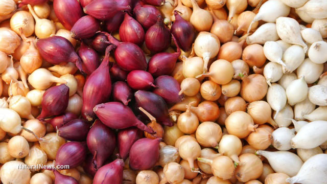 ONIONS are just as effective as chemotherapy at beating cancer
