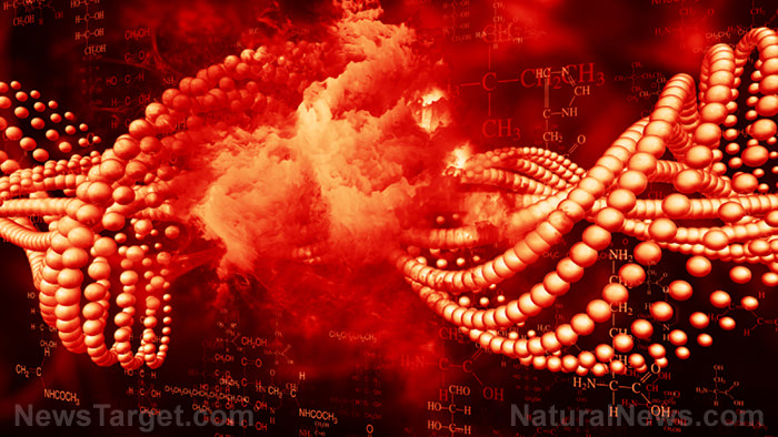 Medical doctors STUNNED as bone marrow transplant for leukemia treatment changes man’s DNA, proving medical interventions can OVERWRITE your genetic code