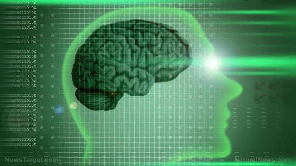 Known as the “bliss molecule”, anandamide is a natural way to stimulate a sense of happiness