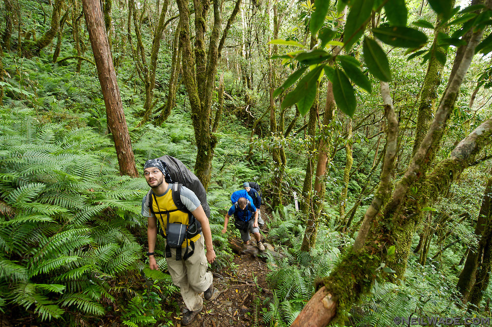 10 good reasons to prep even if SHTF never happens